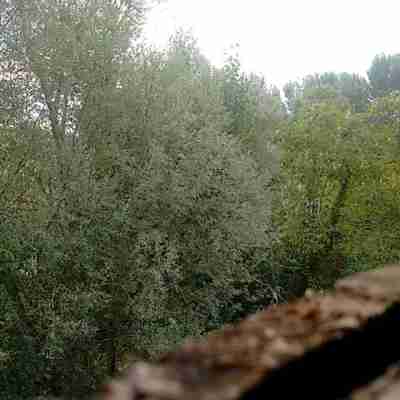 Oasi wwf Lago di Penne